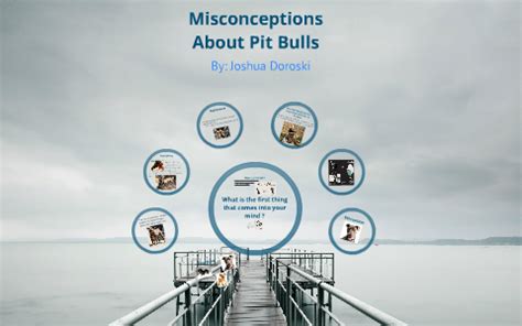 Misconceptions About Pit Bulls by Joshua Doroski on Prezi