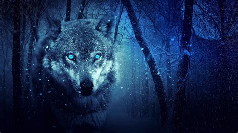 Image result for Wolves Howling Sounds