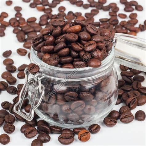 Arabica Coffee Beans Manufacturer, Supplier from Srikakulam