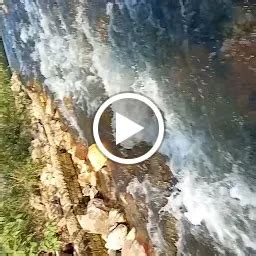 Best Top Rated Tourist attraction in Kauriahi, Bihar, India | Yappe.in