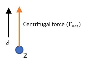 Image result for How to Draw Net Force Vector