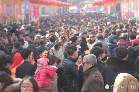 赏樱正当时！2023青岛城阳夏庄山色峪樱桃花季启幕，吃喝玩乐赏出新“花”样 - 旅游 - 文化视界