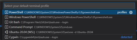 Visual Studio Code Terminal Window 的图像结果