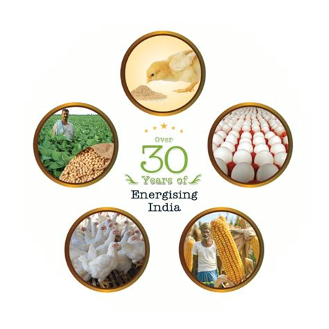 Home [sugunaesourcing.com]