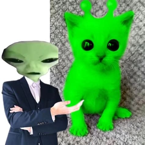 Image result for Alien Cat ZIB Zap