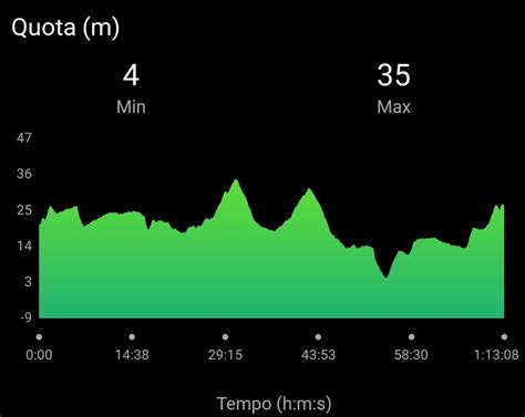 Image result for Garmin Solar Watch Altimeter Problem