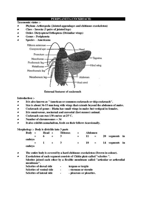 Image result for Cockroach Class 12