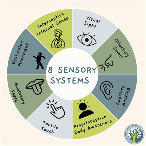 Eight Sensory Systems | Family Achievement Center