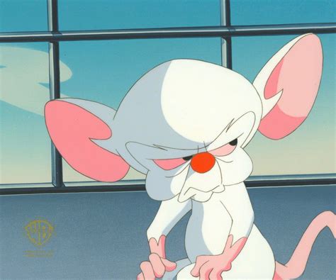 Pinky Brain Cartoon