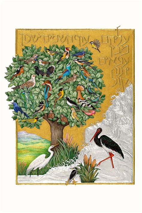 Barbara Wolff, Among the Branches They Sing from You Renew the Face of ...