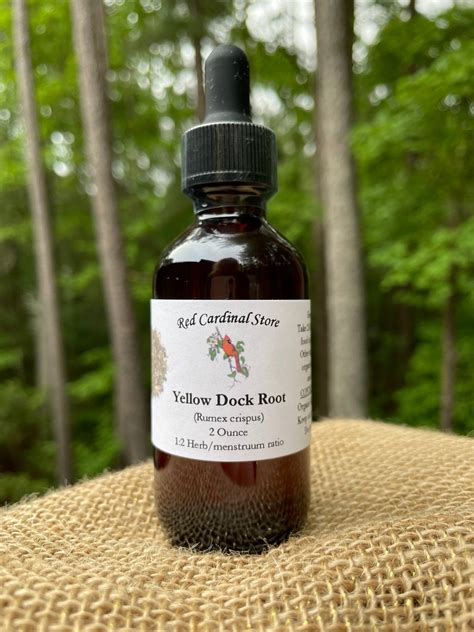 Yellow Dock Root (Curly Dock, Rumex Crispus, Sour Dock) Tincture Herb ...