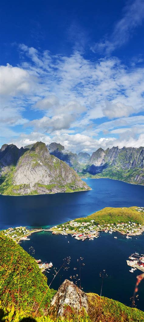 Norway Bing Wallpaper 的图像结果