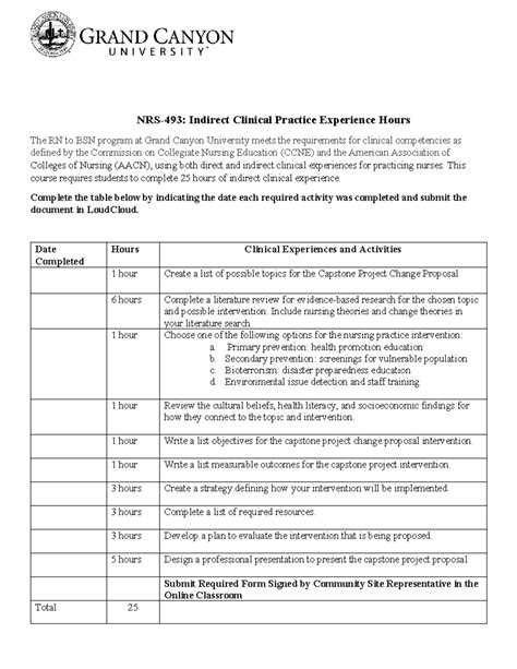 NRS-493 Indirect Clinical Practice Experience Hours Documentation - Studocu