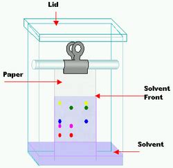 Paper Chromatography Practical: Separation of Amino Acids by Paper ...