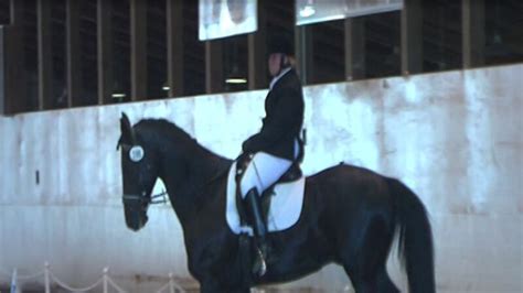 Equestrian extensions hosted annual Summer Solstice Schooling Show
