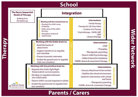 Beaconhouse Neurosequential Model 的图像结果