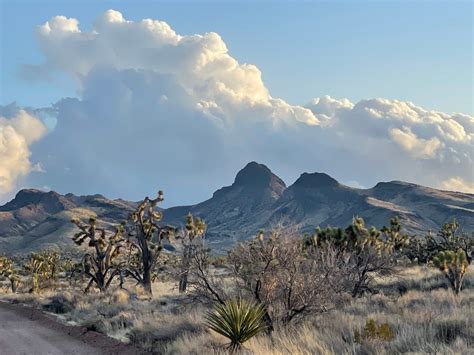 Beautiful, Spectacular Castle Mountains National Monument