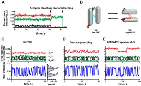 A Starting Point for Fluorescence-Based Single-Molecule Measurements in ...