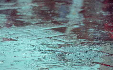 伞,雨,手,女人,雨季,雷雨,暴风雨,暴雨,遮护的手势,湿图片素材下载-稿定素材