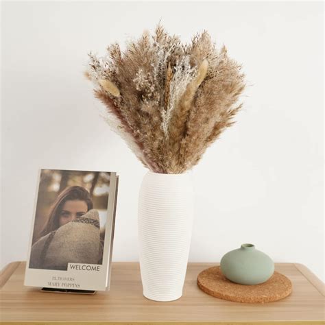 Buy Eterndeco 60 Pcs Natural Dried Pampas Grass 17 Pampas Grass Decor ...