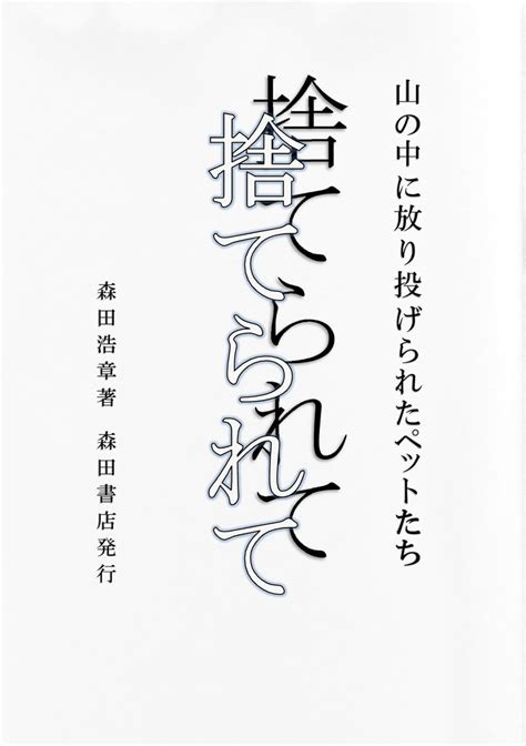 suterarete yamanonaka tisanadekigoto (Japanese Edition) eBook : HIROAKI ...