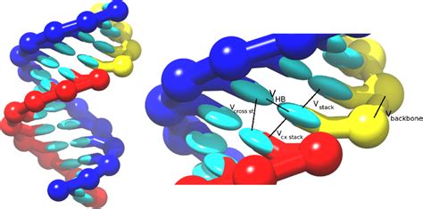 RNA Model 的图像结果