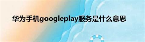华为手机googleplay服务是什么意思_新时代发展网