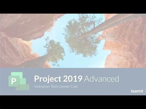 Image result for Microsoft Project 2019 Tutorial