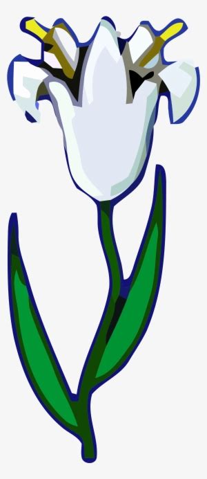 Image result for Wikimedia Commons File White