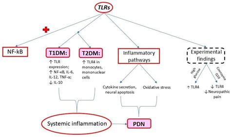 Update on Biomarkers of Chronic Inflammatory Processes Underlying ...