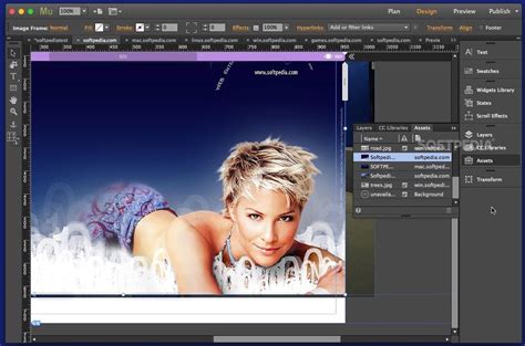 Adobe Muse CC 2018 的图像结果