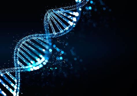 cfDNA Library Prep Process 的图像结果