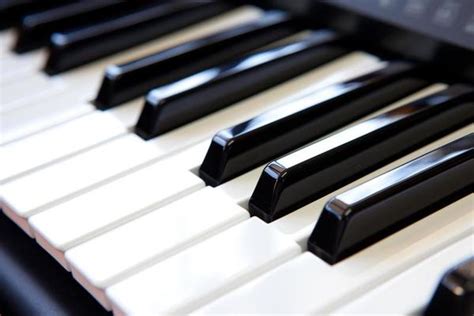 Image result for Piano Roblox Corpse Bride