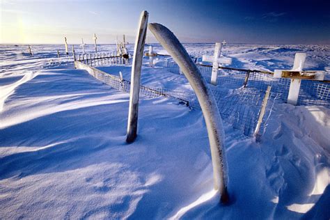 Meet the Indian-American photographer demystifying the Arctic - Rediff ...