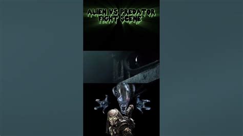 Image result for Alien vs Predator Fight