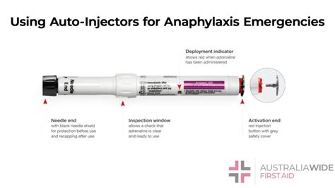How to Use Autoinjector 的图像结果