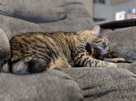 106 best Murderface images on Pholder | Metalocalypse, Aww and Pics