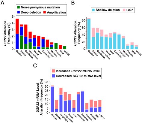Ubiquitin Specific Peptidase 22 Regulates Histone H2B Mono ...