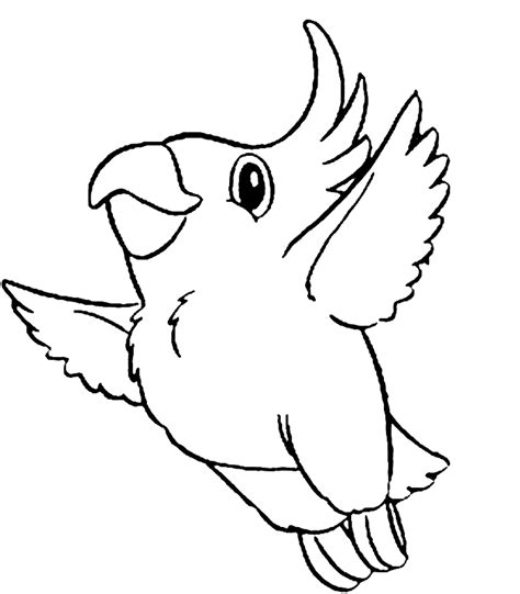 Parrots coloring pages to download and print for free