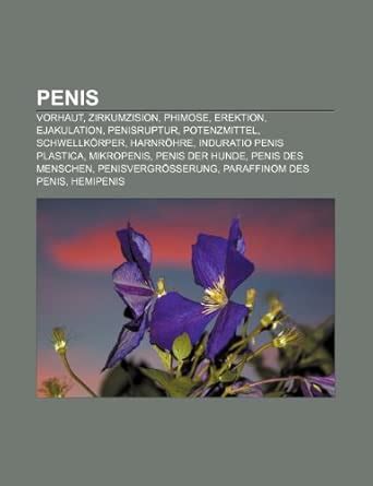Amazon.in: Buy Penis: Vorhaut, Zirkumzision, Phimose, Erektion ...