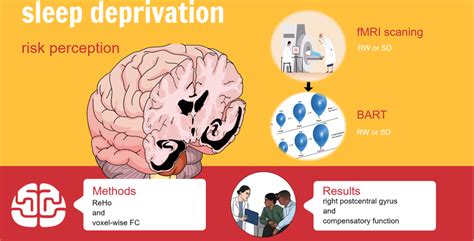Sleep Deprivation Kills Brain Cells at Jayden Scrymgeour blog - symptoms of sleep deprivation