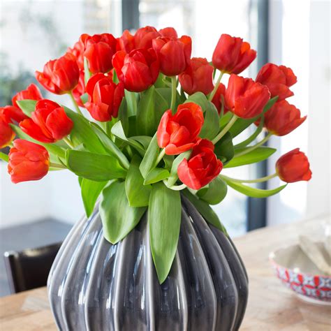 When to plant tulip bulbs for bright spring blooms | Ideal Home