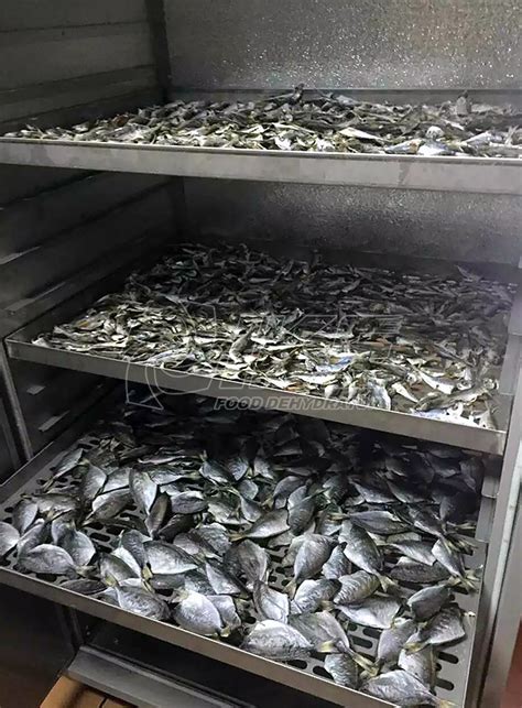 Image result for Fish Drying Machine