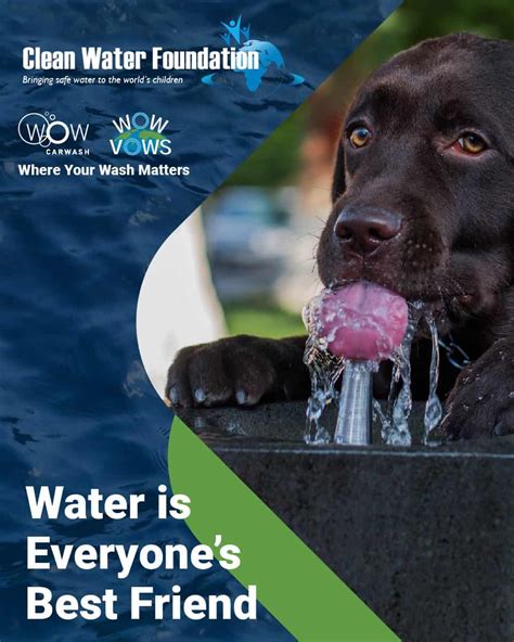 Image result for Clean Conscience