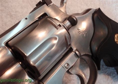 Image result for Bright Colt Python 2 1 2