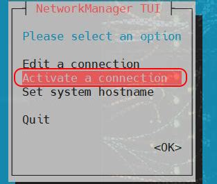 Tutorial IP Static 的图像结果