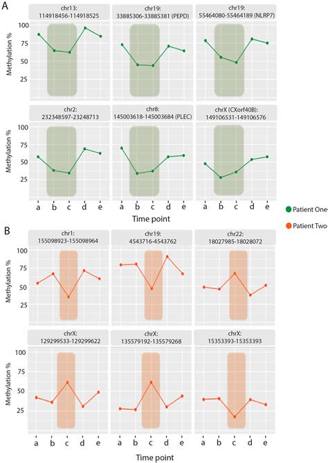 Dynamic Epigenetic Changes during a Relapse and Recovery Cycle in ...