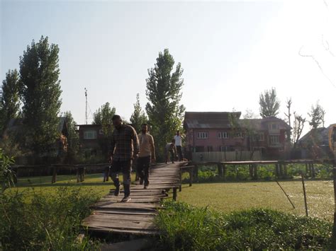 Polling Day in Srinagar, in Photos - The Wire