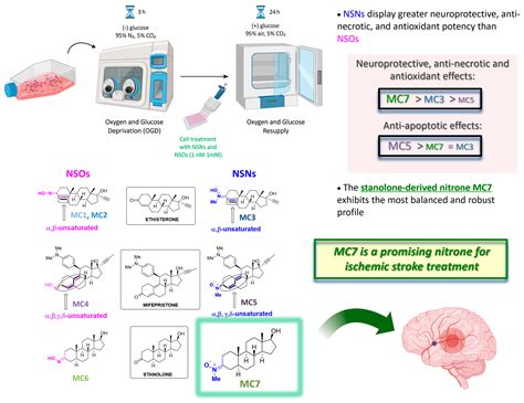 Neuroprotective and Antioxidant Properties of Different Novel Steroid ...