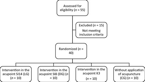 Image result for Random Allocation